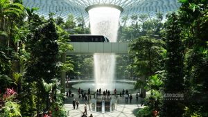 Máy ATM tại sân bay Changi có chức năng đổi tiền, tuy nhiên, tỉ lệ quy đổi tại đây thường cao hơn so với bên ngoài. Do đó, bạn nên cân nhắc chỉ đổi một khoản hợp lý